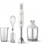 Блендер ручний PHILIPS Daily Collection HR2545 / 00