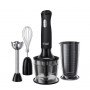 Блендер Russell Hobbs 24702-56