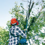 Высоторез Makita EY 2650 бензиновый