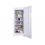Морозильная камера Indesit DSZ4150
