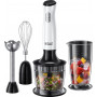 Блендер 3в1 Russell Hobbs 24710-56 Horizon