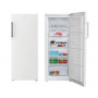Морозильна камера BEKO RFNE270K21W