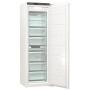 Вбудована морозильна камера Gorenje FNI5182A1