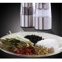 Млин для солі і перцю Russell Hobbs 23460-56