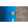 Витяжка Kaiser A 6423 BluBe Eco